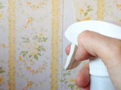 Spray the old Wallpaper with vinegar