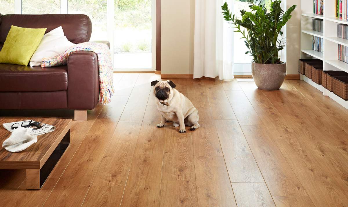 The best flooring for dogs looking for the perfect option