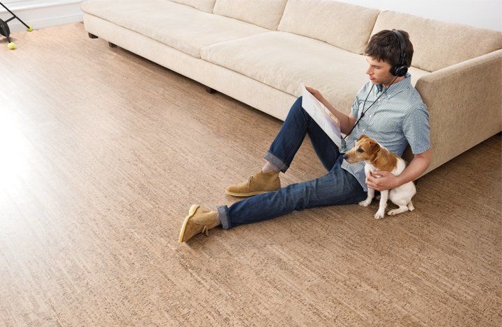 Best Flooring For Dogs 4 