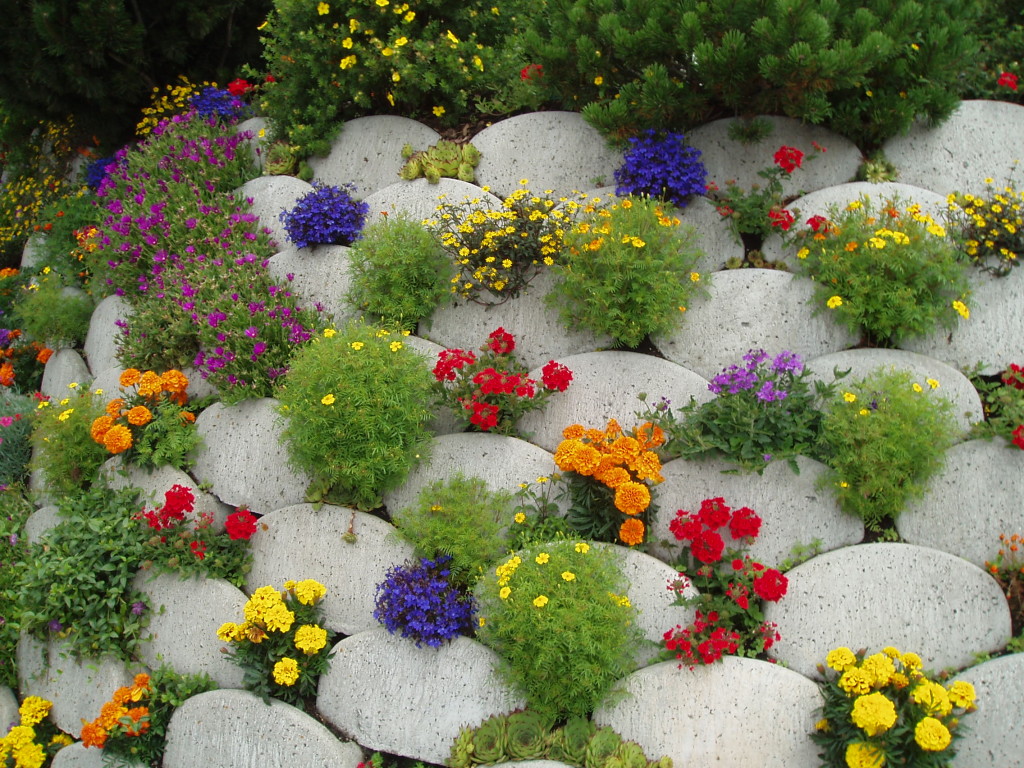 How To Build A Rockery Step By Step