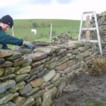 The easiest way of building a stone wall for your country house