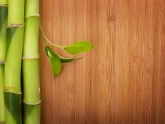 Flooring natural bamboo