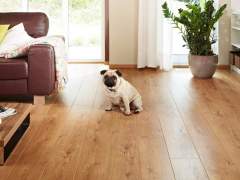 The flooring in the house dog owners