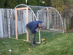 How to build your own greenhouse