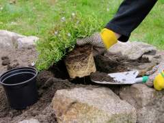 How to build a rockery step by step