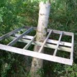 How to build a treehouse for creating a childhood dream