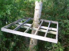 How to build a treehouse for creating a childhood dream