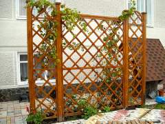 Garden pergola