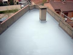 Liquid waterproofing membrane