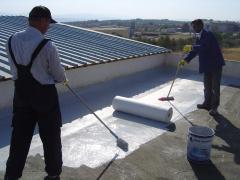 Painting waterproofing roof